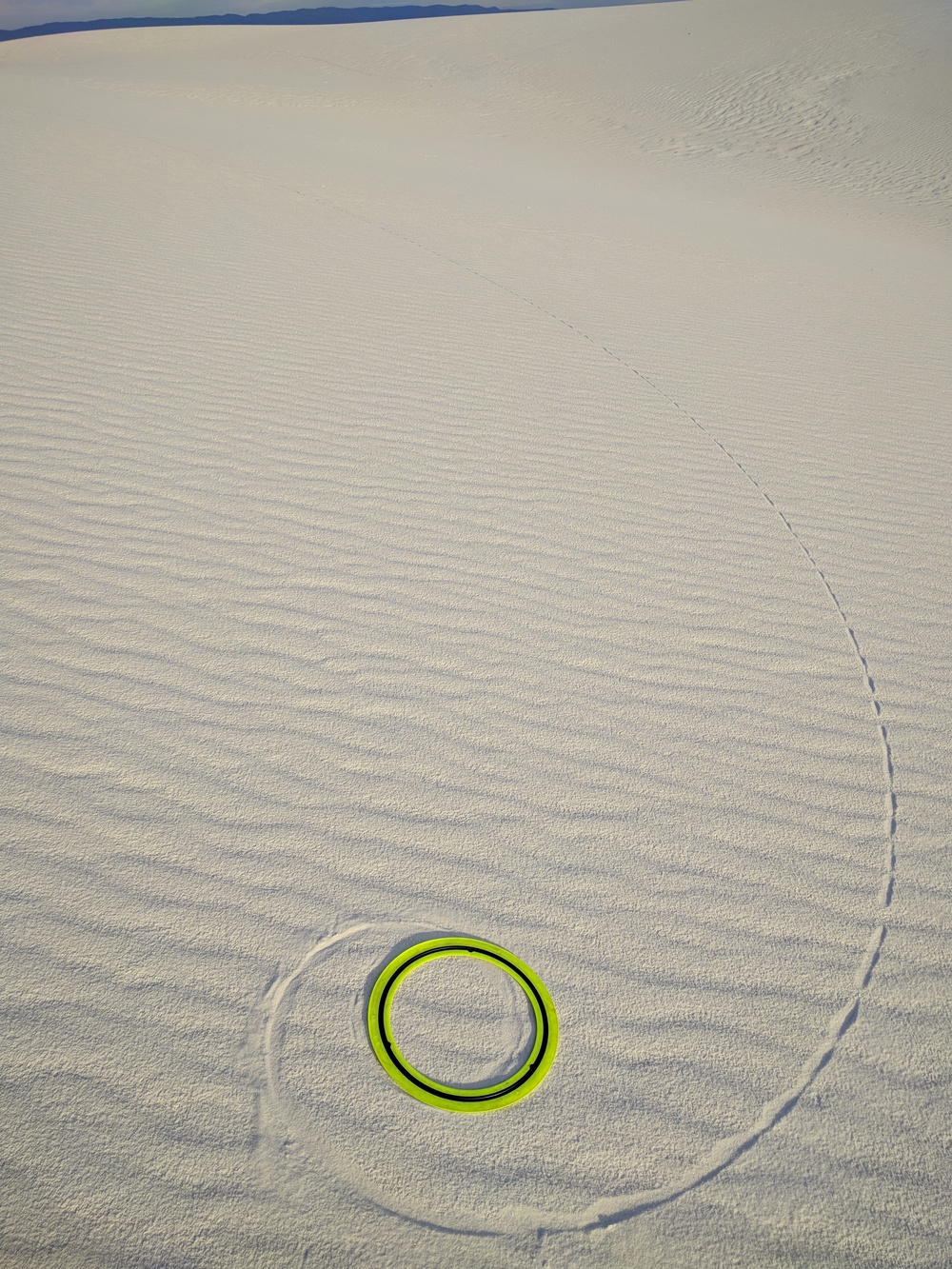 whitesands_frisbee_spiral-resized-1