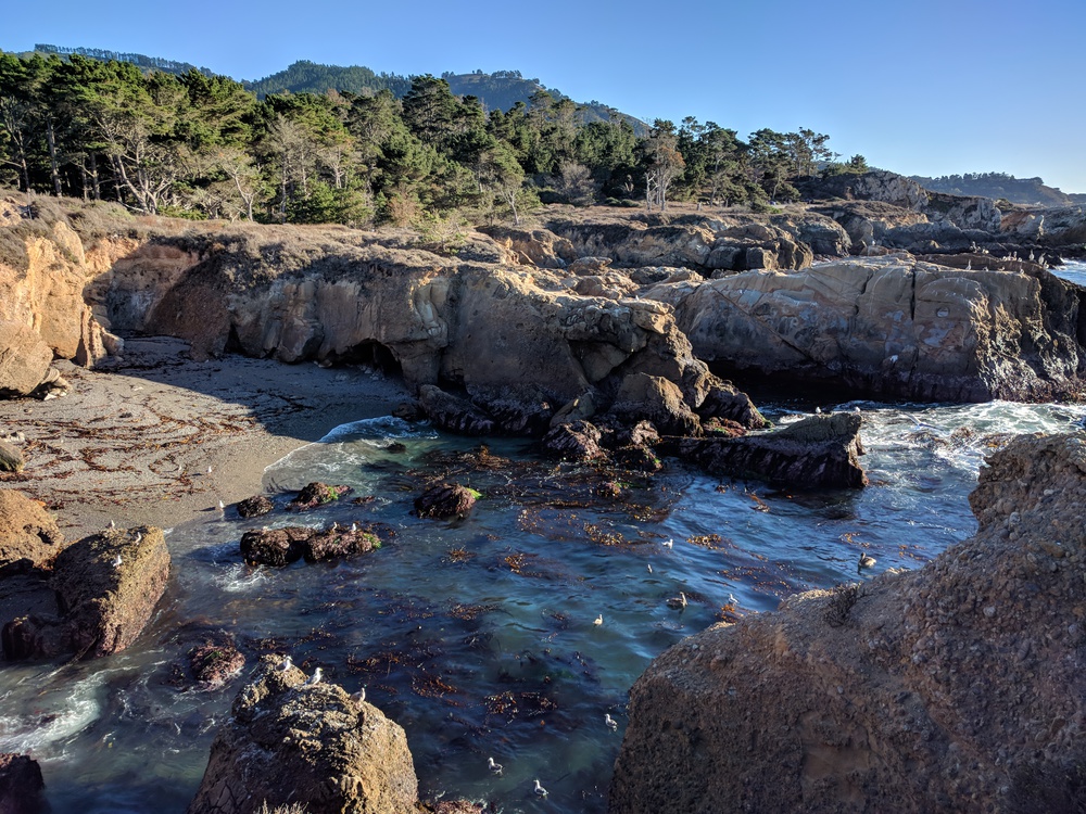 bigsur-point_lobos_seal_cove-resized